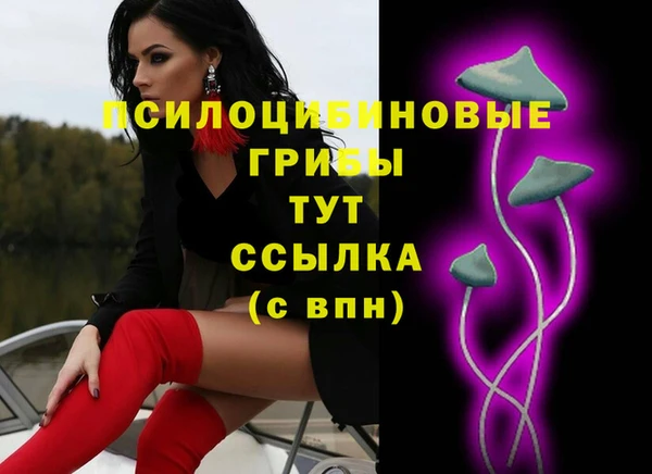 стафф Кодинск