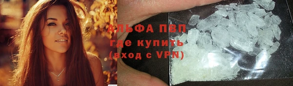 стафф Кодинск