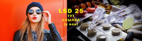 стафф Кодинск
