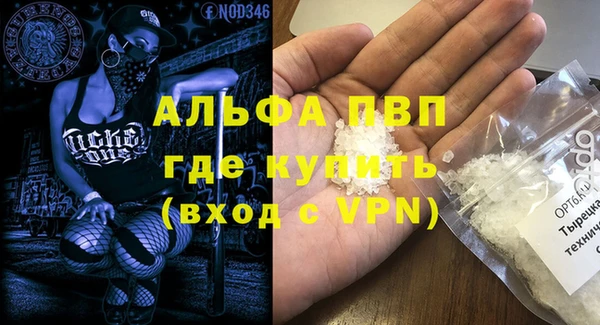 стафф Кодинск