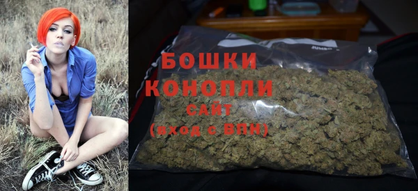 шишки Коряжма