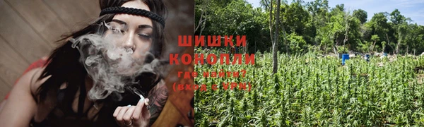 2c-b Козловка