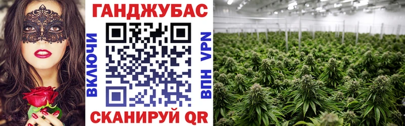 ссылка на мегу ССЫЛКА  Котельнич  Конопля гибрид 